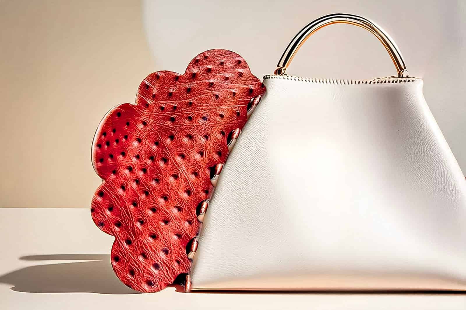 Macro de pince à cheveux ClawMeUp en acétate premium